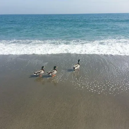 Szálloda La Milanese Pietra Ligure