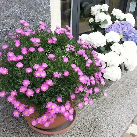 La Milanese Hotel Pietra Ligure