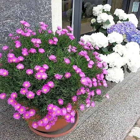 La Milanese 3*