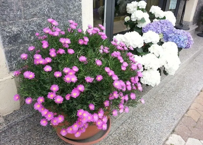 La Milanese Hotel Pietra Ligure